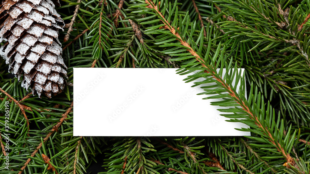 Sample Christmas greeting cards. Holiday concept Sample Christmas greeting cards. Holiday concept