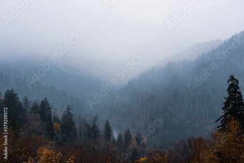 Great Smoky Mountains fog