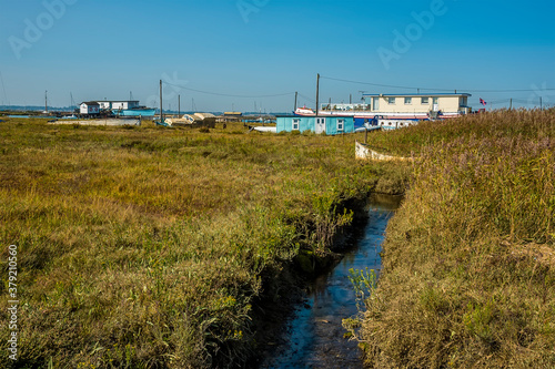 A view along the salt marshes at West Mersea, UK in the summertime
