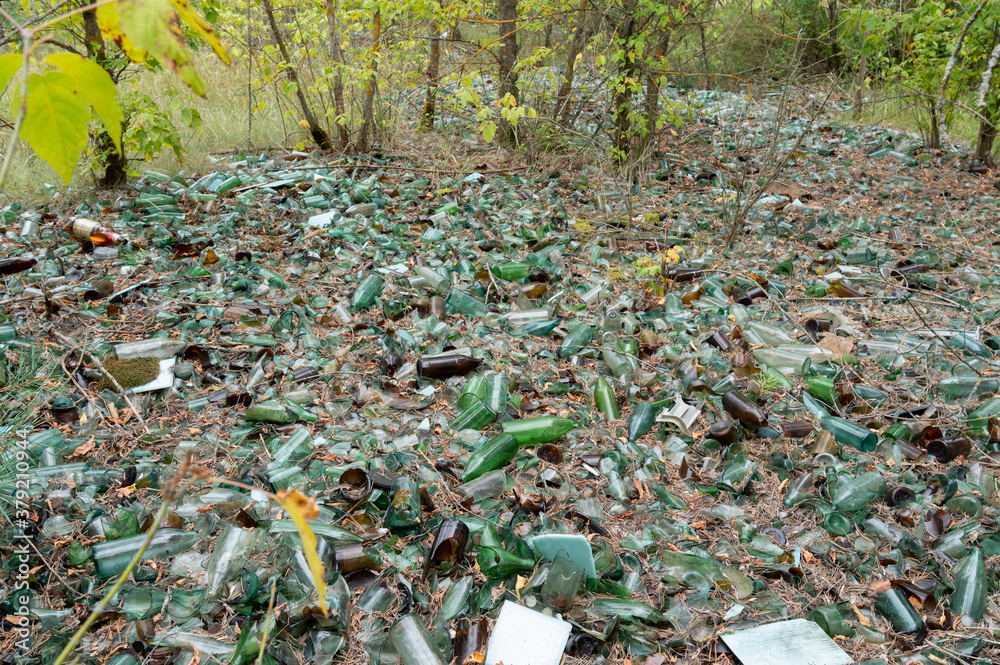 Lots of old broken bottles. A lot of broken glass. Waste bin made of glass bottles. Lots of old broken bottles. A lot of broken glass. Waste bin made of glass bottles.