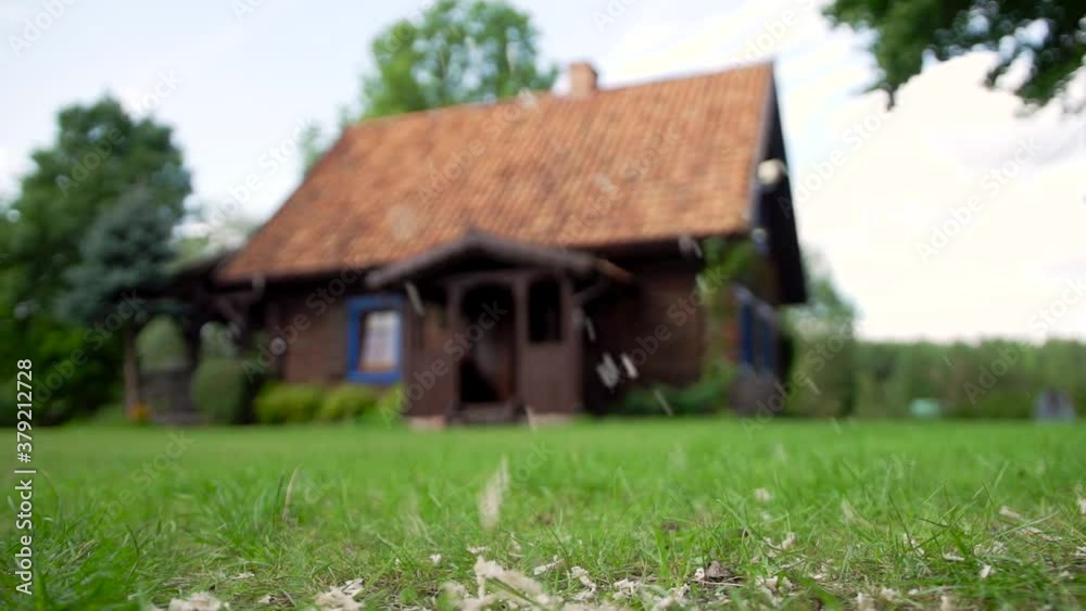 Close up of a carpenter sawdust falling on the pasture with a old house in background, Carving wood and craft concept