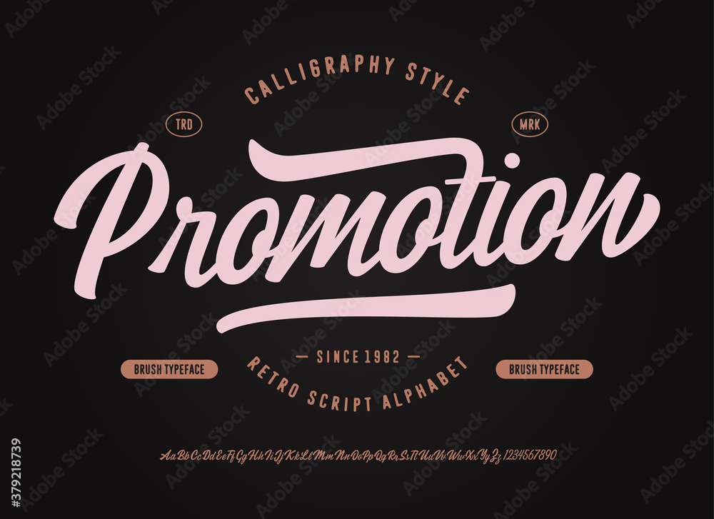 Obraz premium CALLIGRAPHY SCRIPT FONT- PROMOTION. VECTOR TYPEFACE