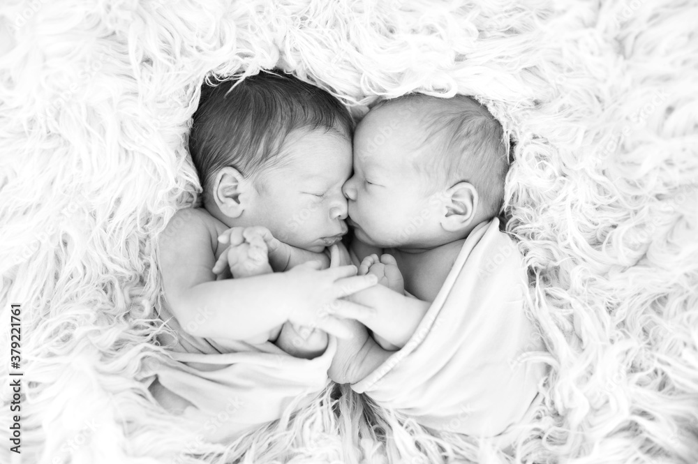 Newborn twins sleeping together in a hug. Babies wrapped in a wrap ...