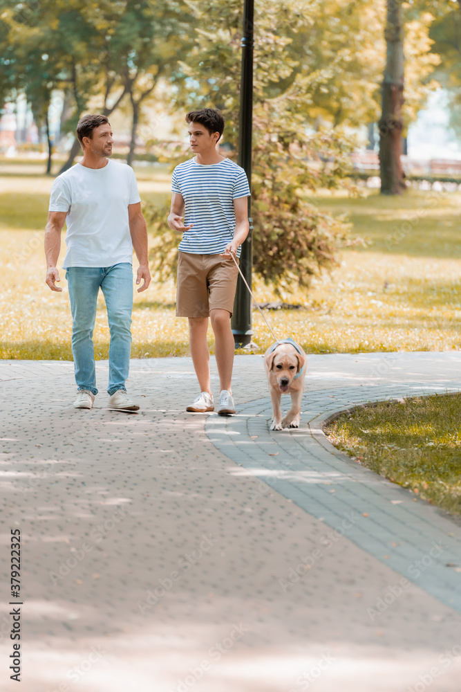 Fototapeta premium teenager son and father looking at each other and walking with golden retriever on asphalt