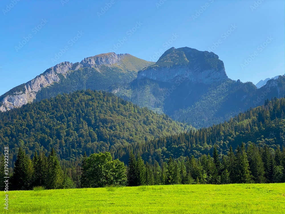 Green meadow and forest and interesting mountain range in distance on a blue sky