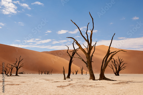 Namibian desert landscape