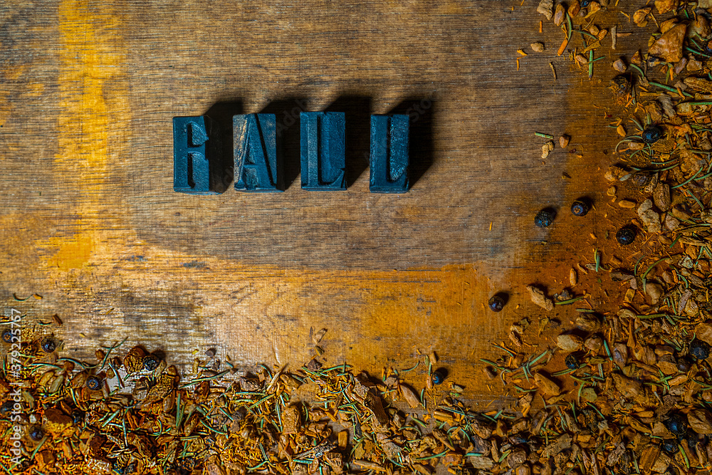 FALL text formed using old wooden printing letters placed on the destroyed industrial table. Autumn orange composition. Frame made of small elements of olive wood, pine needles, little twigs.