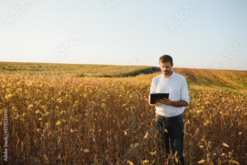 Young farmer in soybean fields