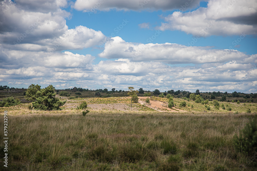 Heide en zandverstuiving bij Rozendaal op de Veluwezoom