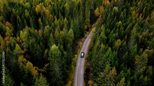 Car driving along a dirt road in a dense pine forest. Arial follow footage 4K.