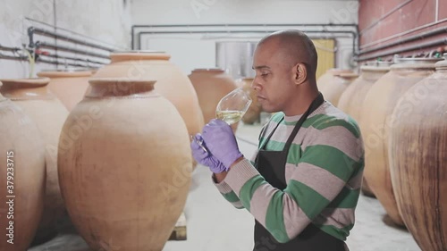 Portrait of experienced latin american winemaker with glass of white wine, inspecting its quality at winery