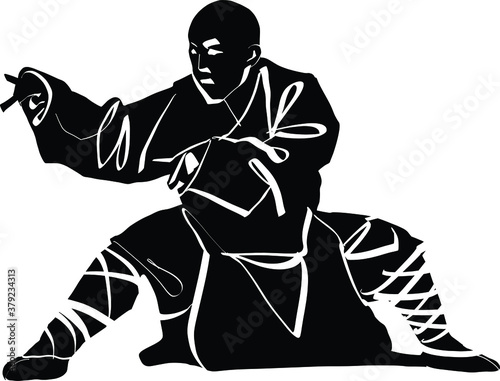 The vector illustration of the wushu fighter