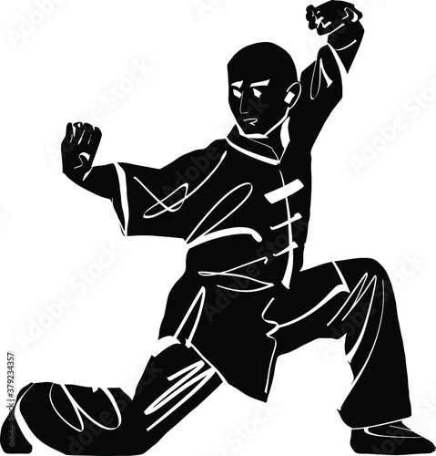 The vector illustration of the wushu fighter