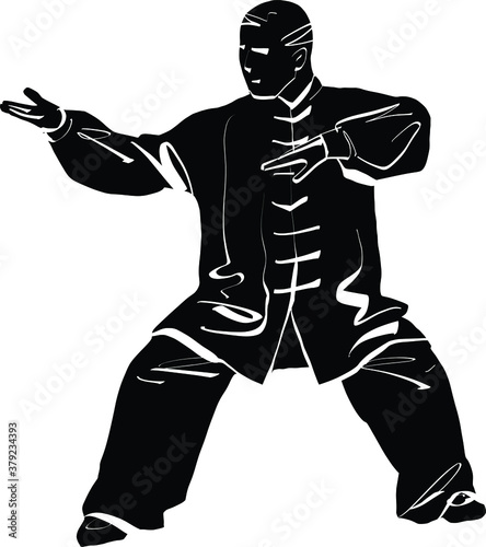 The vector illustration of the wushu fighter