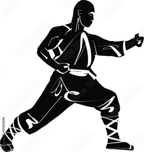 The vector illustration of the wushu fighter