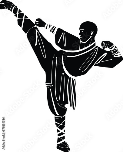The vector illustration of the wushu fighter