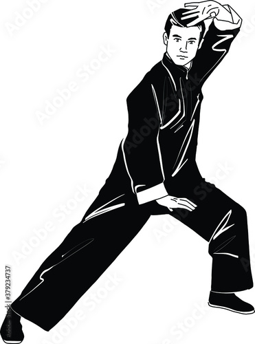 The vector illustration of the wushu fighter