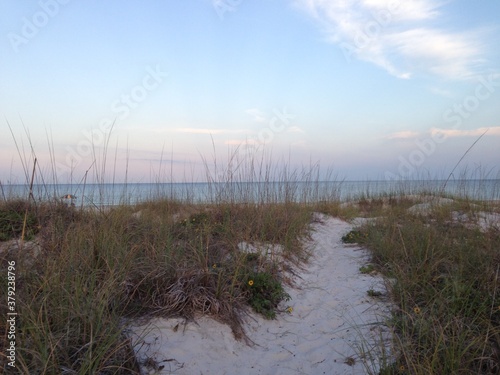 trail to the beach