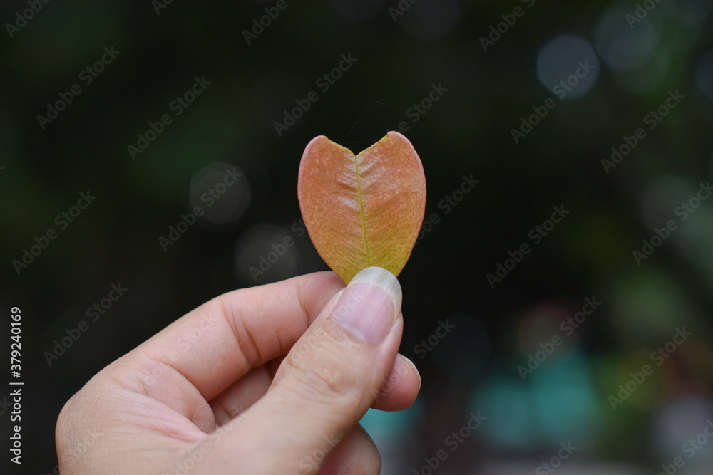 Hand holding a leaf against blur nature background. Eco conscious concept