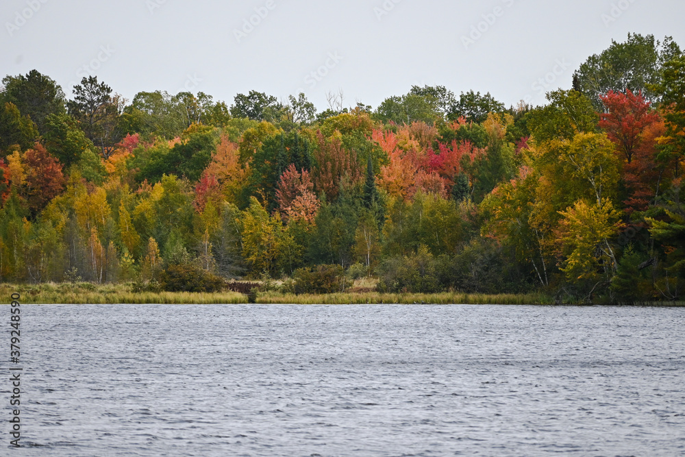 Landscape with water and trees in early fall. Landscape with water and trees in early fall.