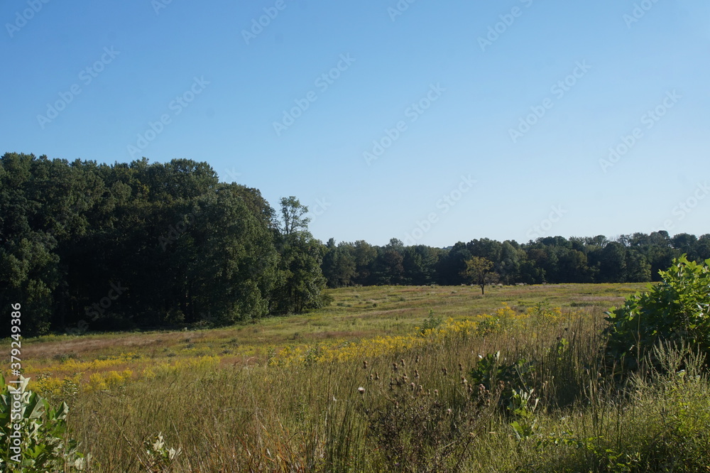 Valley Forge Landscape