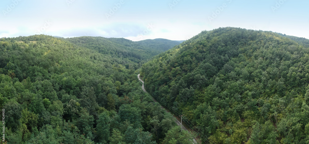 panoramic aerial shot of forest and hills