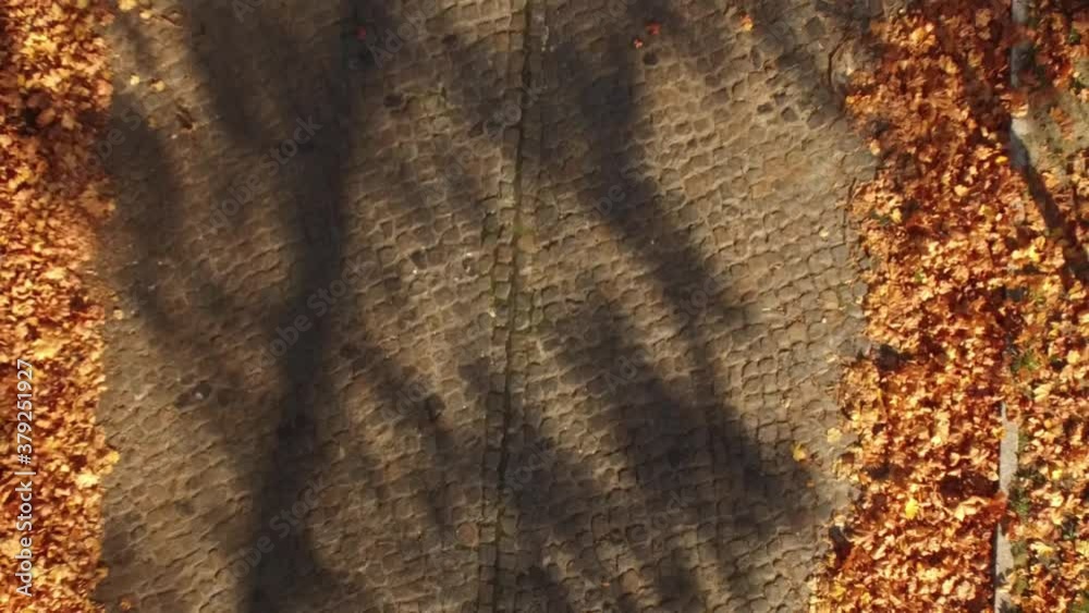 Drohnenaufnahmen: Aufstieg von einer Straße aus mit Blick nach unten. Kopfsteinpflaster und Herbsblätter