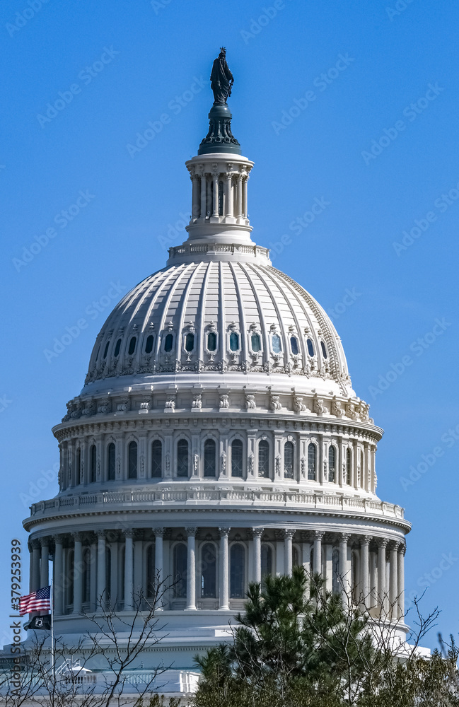 Obraz premium U.S.Capitol_Flag