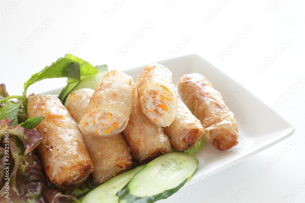 Vietnamese food, deep fried spring roll served with cucumber and salad Vietnamese food, deep fried spring roll served with cucumber and salad