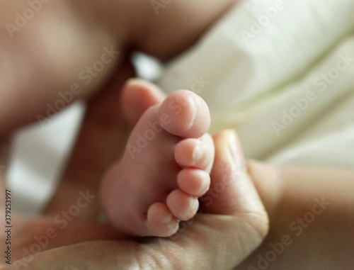 baby feet in a hand