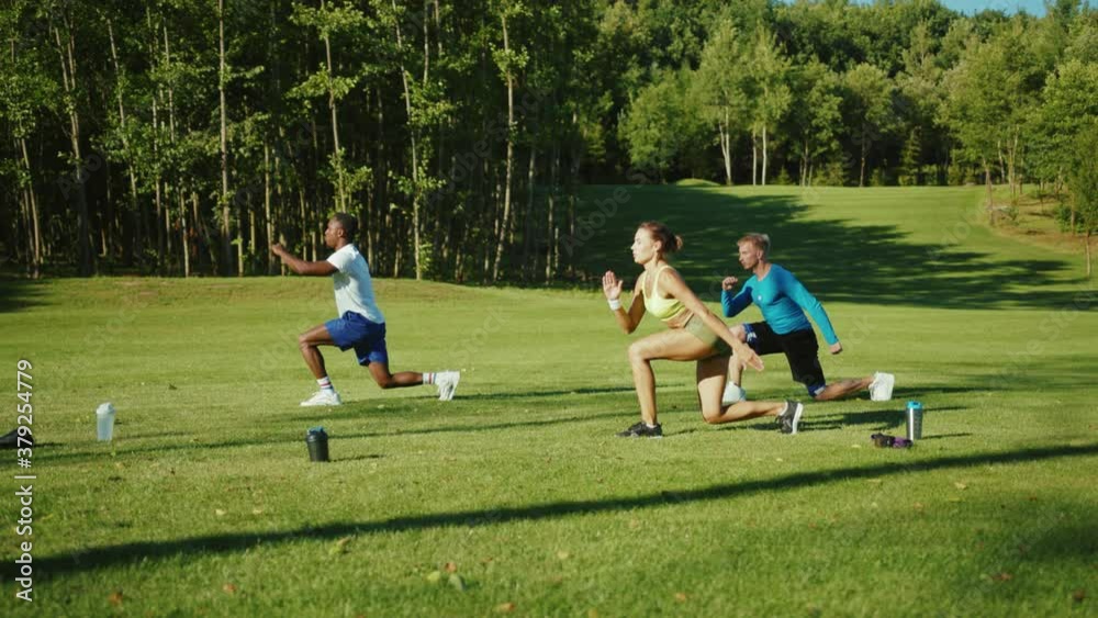 Attractive group of three athletic multi-race people doing physical exercises warming up their muscles for intensive workout. Team in sports. Active people lifestyle. Attractive group of three athletic multi-race people doing physical exercises warming up their muscles for intensive workout. Team in sports. Active people lifestyle.