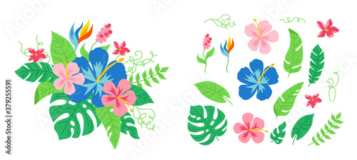 Hawaiian tropical bouquet flowers. Exotic cartoon card jungle. Floral flat composition for invitation or holiday. Monstera and wild flowers collection. Vector illustration