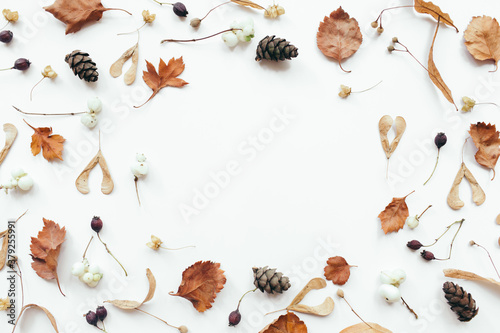 Frame made of dried autumn leaves on white background. Autumn, fall concept. Flat lay, top view, copy space