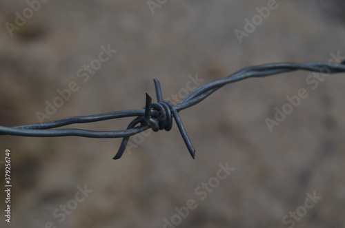 barbed wire fence photo