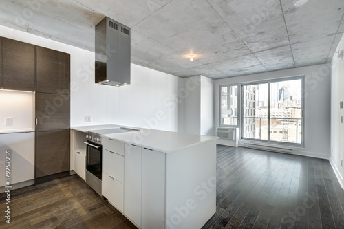 Real estate photography - Beautiful empty brand new apartment in an apartment building with bathroom  new kitchen  new floors  all white painted