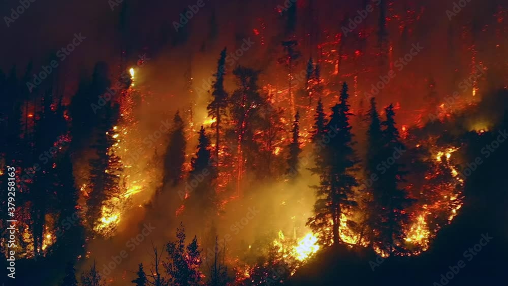 Forest fire, Aerial view of a massive wildfire, burning spruce trees and nature in flames, night time,  Northwest fires, in Oregon, USA -  tracking, drone shot