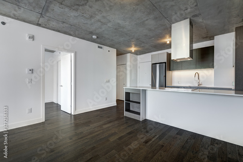 Real estate photography - Beautiful empty brand new apartment in an apartment building with bathroom  new kitchen  new floors  all white painted