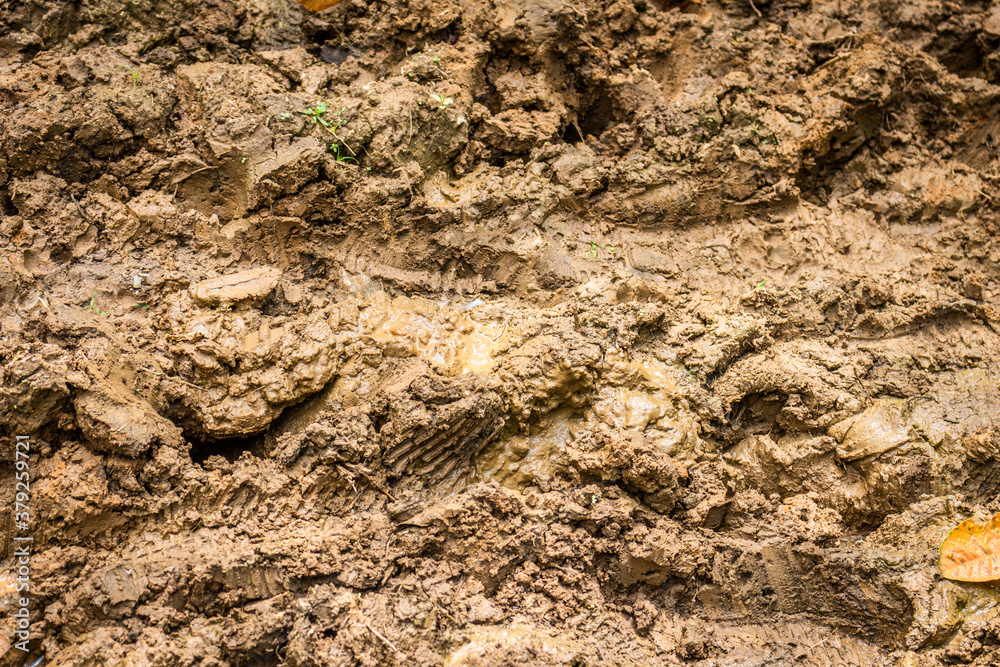 Texture of clay and earth with water. Texture of clay and earth with water.