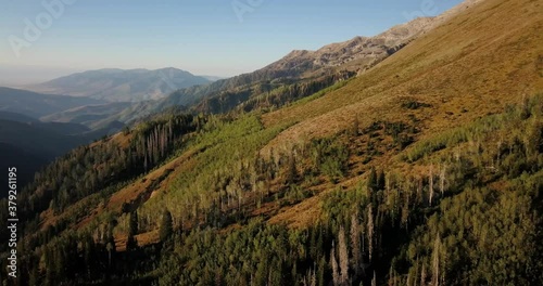 Aerial rotating footage of Uinta Forest near Nepo Loop during sunrise. photo