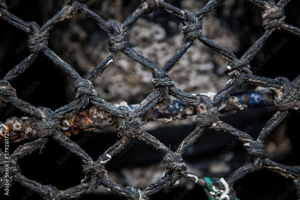 Fototapeta premium fishing equipment