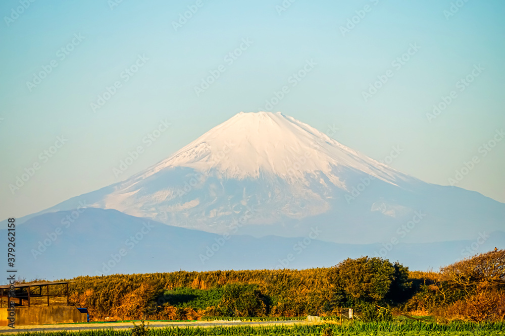 【冬の富士山】三浦半島から見る、富士山