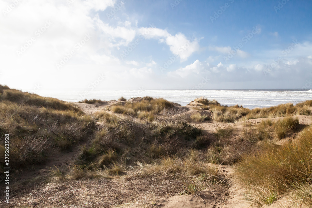 sandy dune beaches