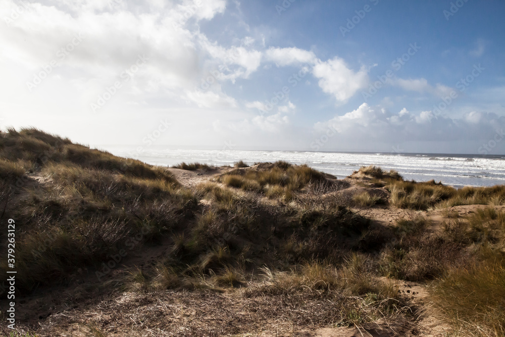 sandy dune beaches sandy dune beaches