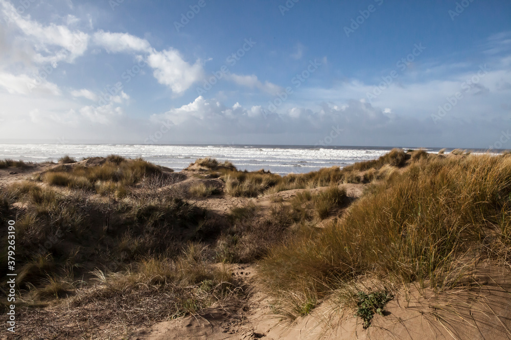 sandy dune beaches sandy dune beaches