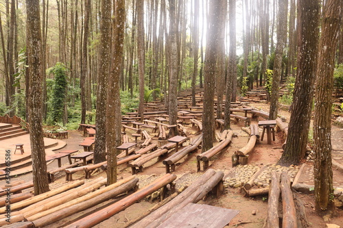 Pine forests Mangunan is an exotic romantic jungle located in Mangunan Village, Dlingo, Bantul Regency, Yogyakarta. photo
