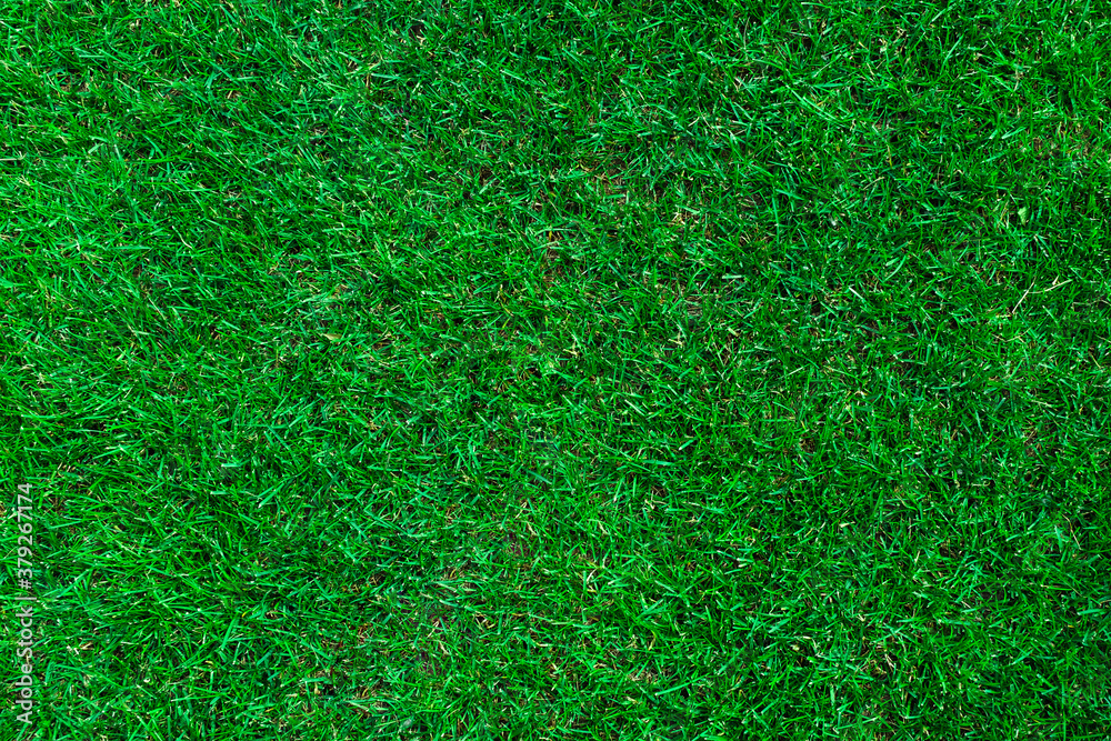 Top view of green grass background