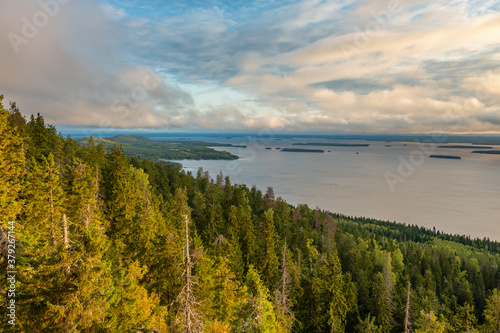 Beautiful nature landscape in Koli national park in Finland