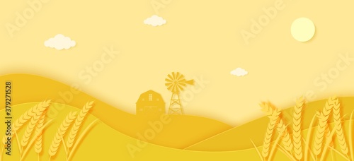 Agriculture field with spikelets of wheat and barn and windmill in papercut style. 3D autumn landscape with yellow paper cut meadow. Vector illustration of environmental conservation and farm concept