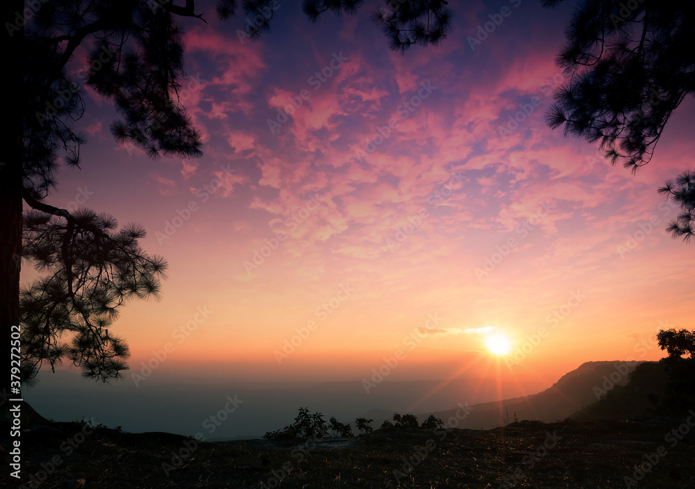 Fototapeta premium Beautiful spectacular sunrise over the mountains with silhouette of pine trees and dramatic purple sky. Mak Duk cliff, Phu Kradueng National Park, Loei, Thailand