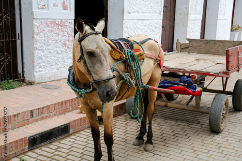 Close up of a horse cart in front of a house entrance at Santa Cruz de Mompox, Colombia, World Heritage 